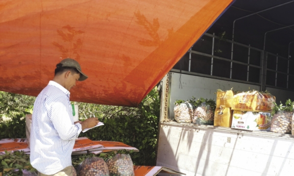 Trái cây Việt thua trên sân nhà Kỳ 3: Chưa thể kiểm soát thị trường
